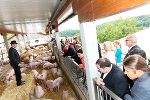 Franz Habel zeigt den Schweinestall mit klassischer Musik und Schweineduschen. © CIS Franz Habel zeigt den Schweinestall mit klassischer Musik und Schweineduschen.